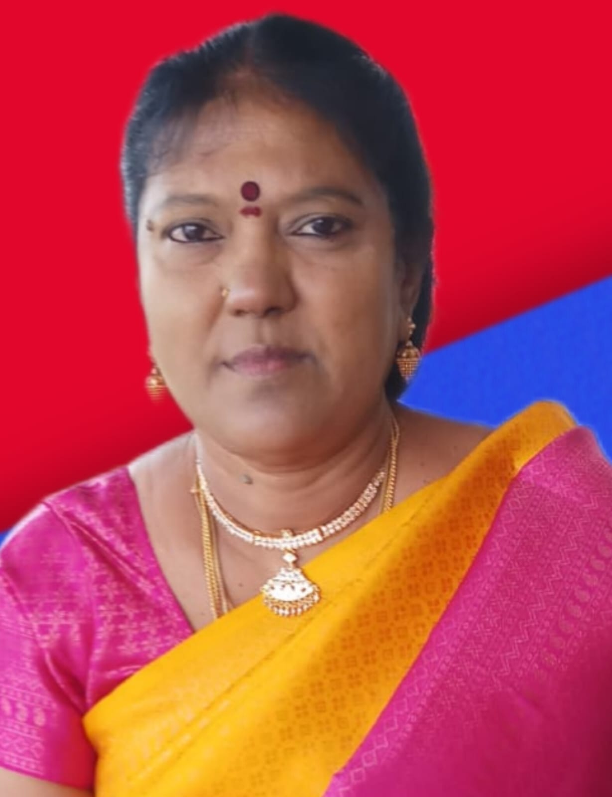 PADMINI.S